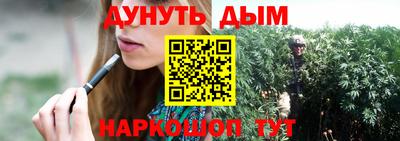 амф Новодвинск