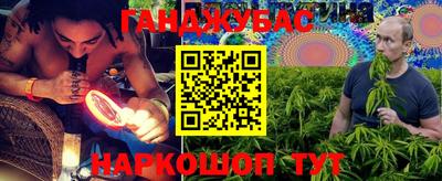амф Новодвинск